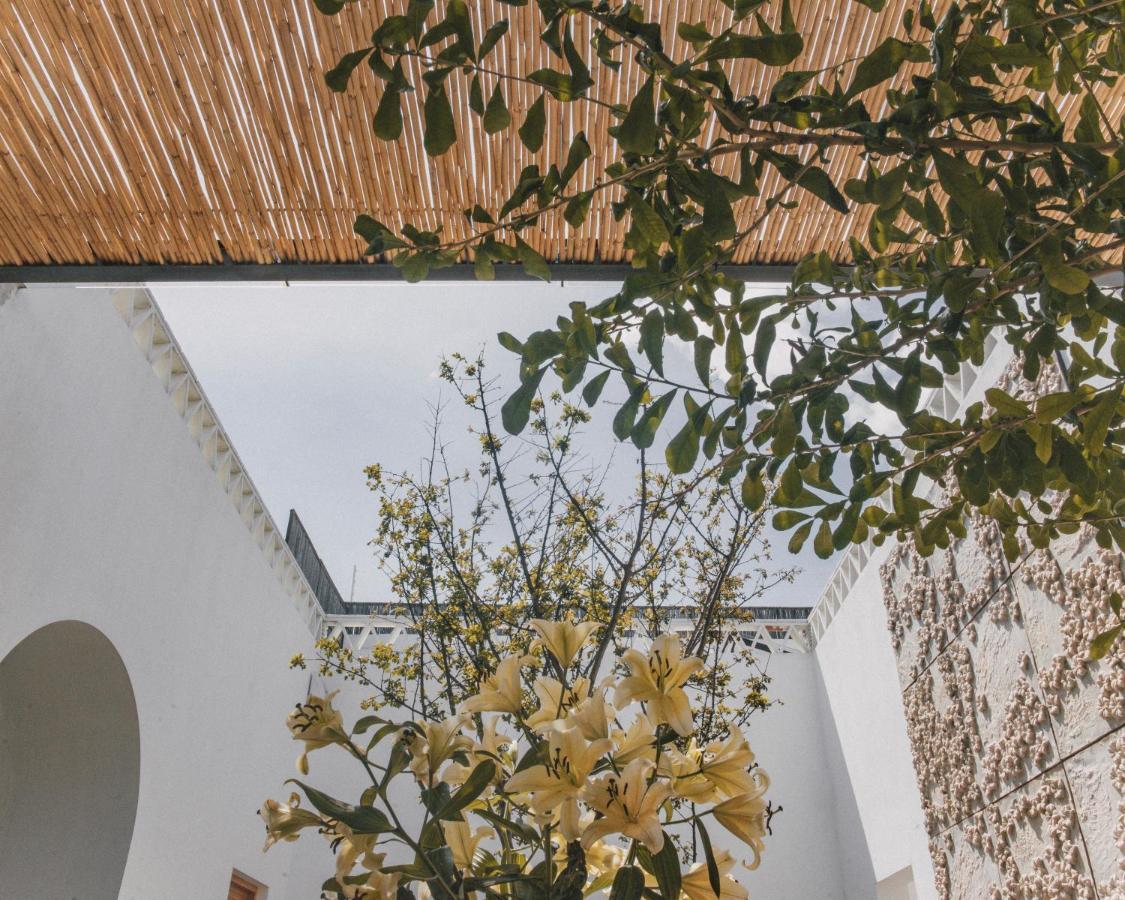 Casa Carmen Morelos Oaxaca Ngoại thất bức ảnh